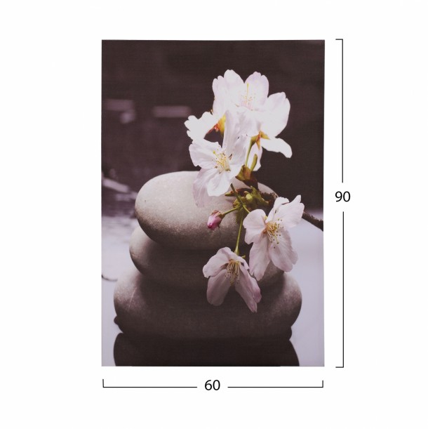 ΠΙΝΑΚΑΣ ΚΑΜΒΑΣ WHITE ORCHID FB97154.11 60X90X2.5 εκ. 1
