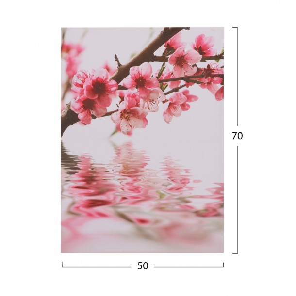 ΠΙΝΑΚΑΣ ΚΑΜΒΑΣ FLOWERS FB97153.04 50X70X2.5 εκ. 1