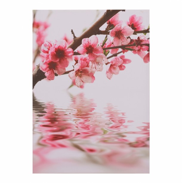 ΠΙΝΑΚΑΣ ΚΑΜΒΑΣ FLOWERS FB97153.04 50X70X2.5 εκ. 0