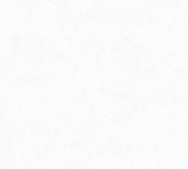 Ταπετσαρία Τοίχου Elements 36206-6 1000x53cm 0