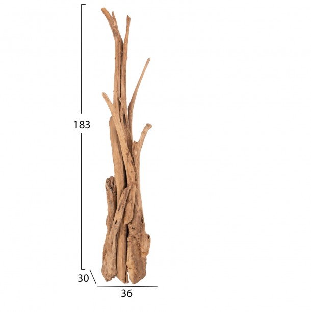 ΚΑΛΟΓΕΡΟΣ FB99367 ΑΠΟ ΜΑΣΙΦ ΞΥΛΟ TEAK ΦΥΣΙΚΟ 170-200ΕΚ. 1